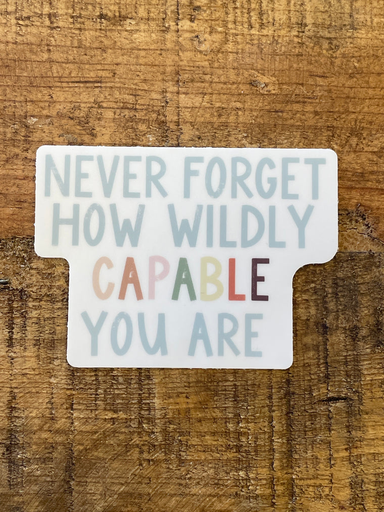 Never Forget How Wildly Capable You Are